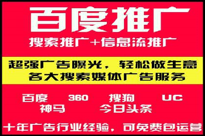 百度推广的成功案例：从零到一的突破